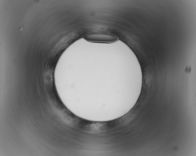 X0000112050172200909151011