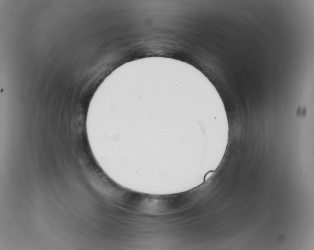 X0000112050174200909151011