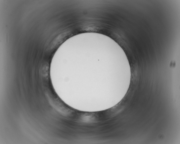 X0000112050175200909151011
