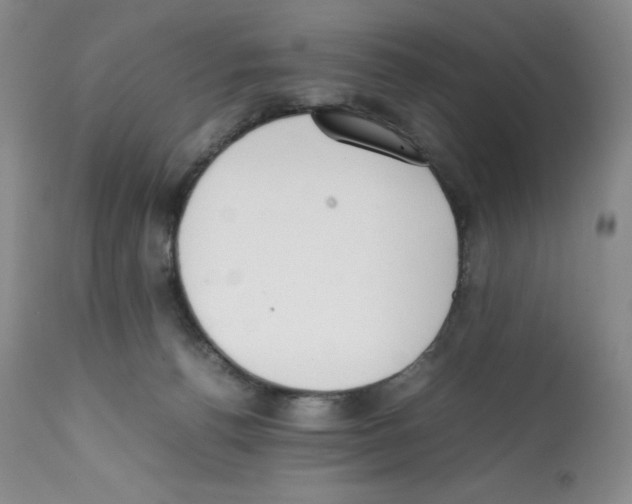 X0000112050176200909151011