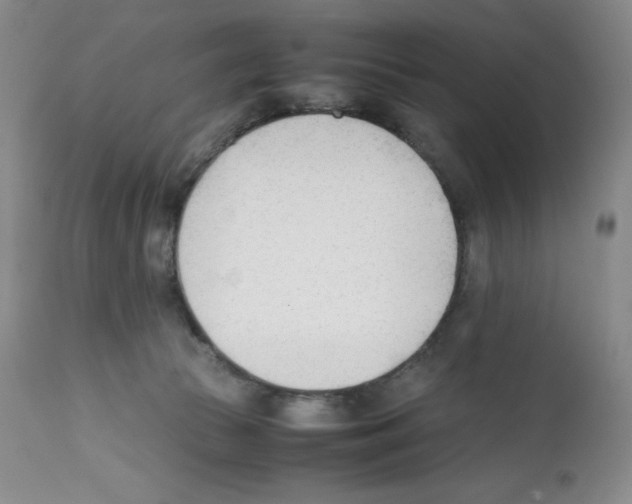 X0000112050177200909151011