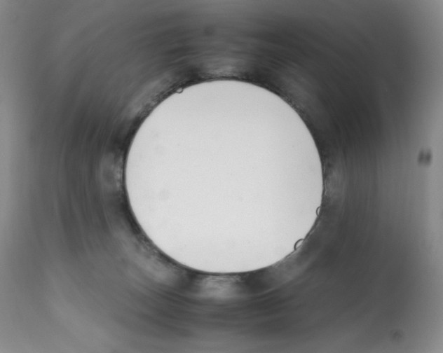 X0000112050179200909151011