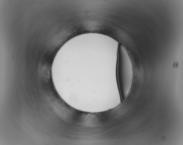 X0000112050180200909151011