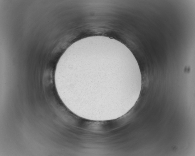 X0000112050182200909151011