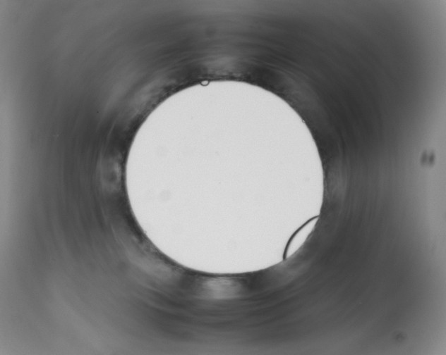X0000112050183200909151011