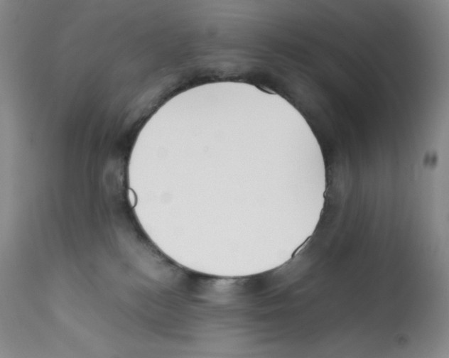 X0000112050184200909151011