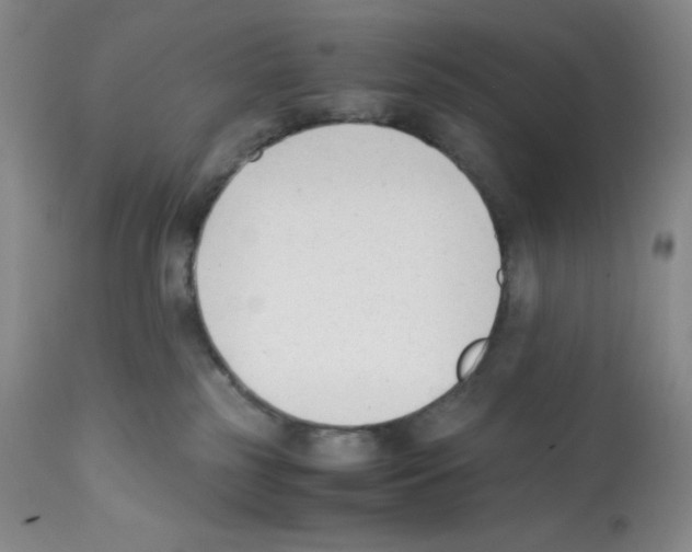 X0000112050185200909151011
