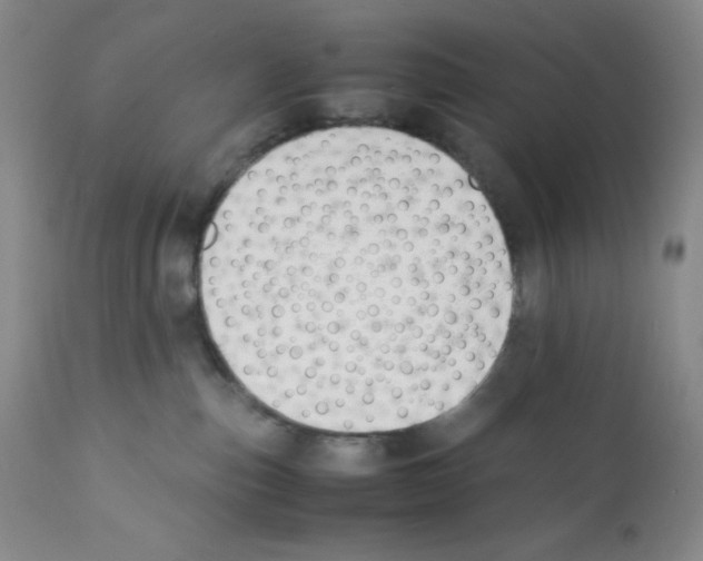 X0000112050187200909151011