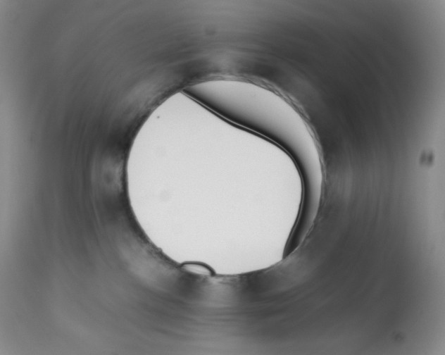 X0000112050188200909151011