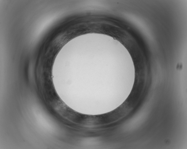 X0000112050189200909151011