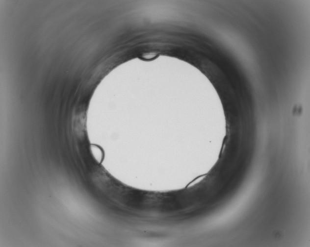 X0000112050190200909151011