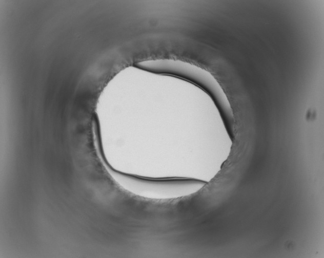 X0000112050192200909151011