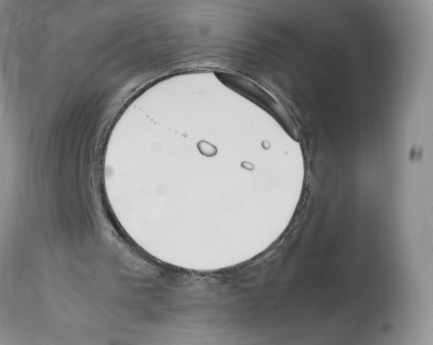 X0000112050193200909151011