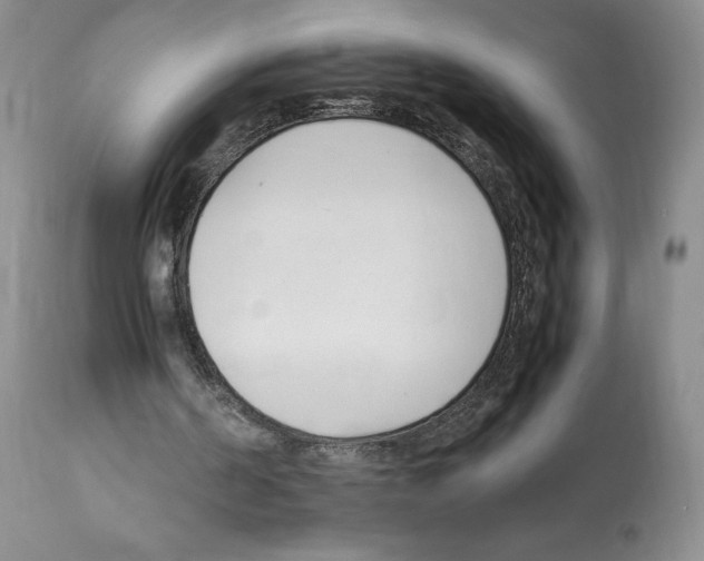X0000112050194200909151011