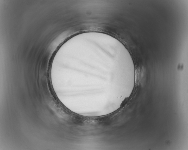 X0000112050195200909151011