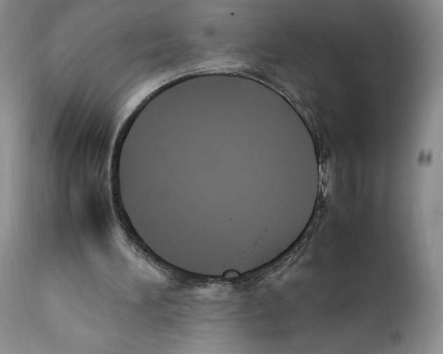 X0000112050196200909151011