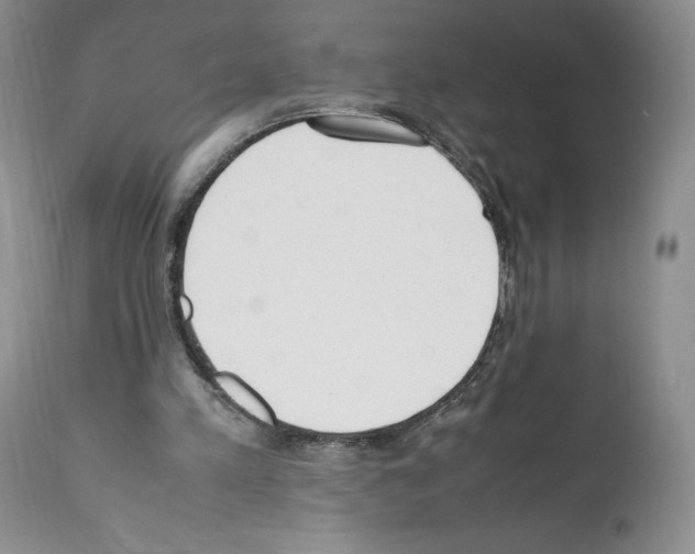 X0000112050197200909151011