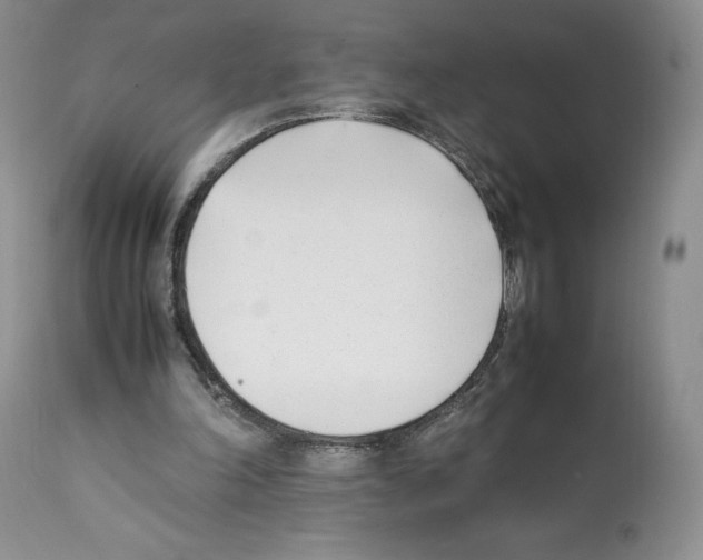 X0000112050198200909151011
