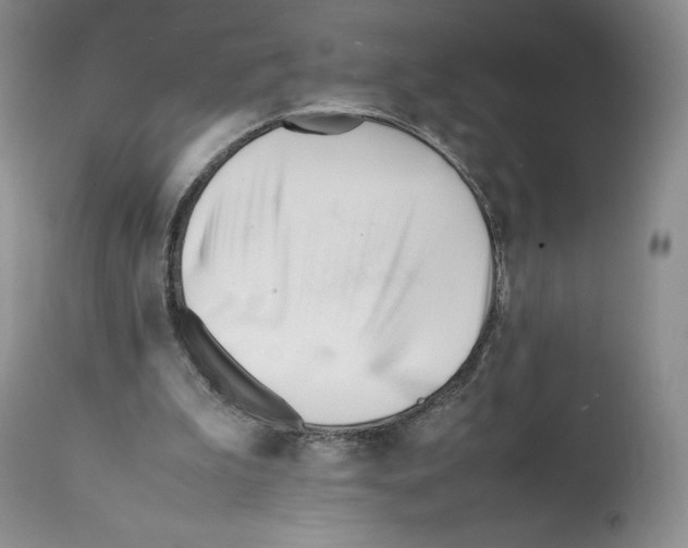 X0000112050199200909151011