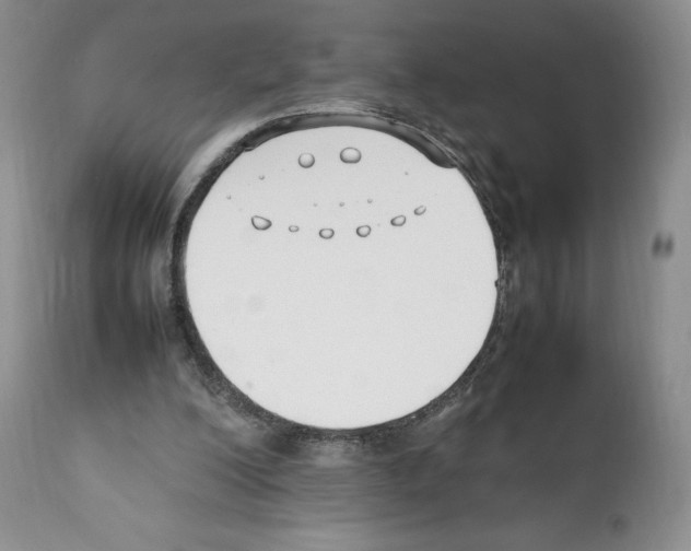 X0000112050200200909151011