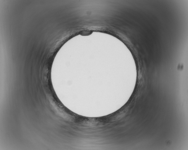 X0000112050201200909151011