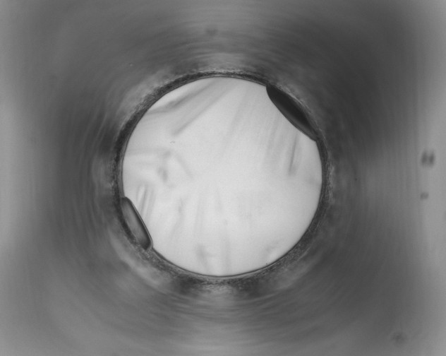 X0000112050203200909151011
