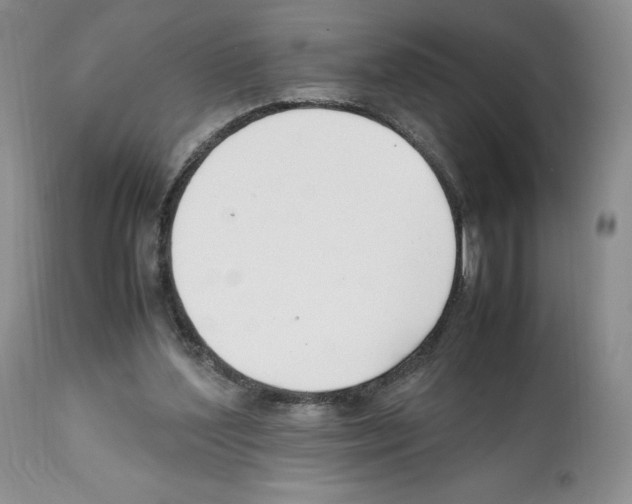 X0000112050204200909151011