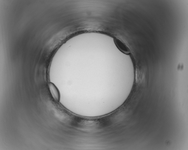 X0000112050205200909151011