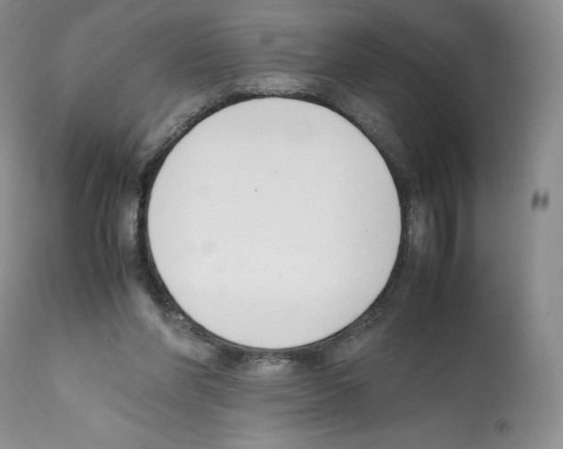 X0000112050206200909151011