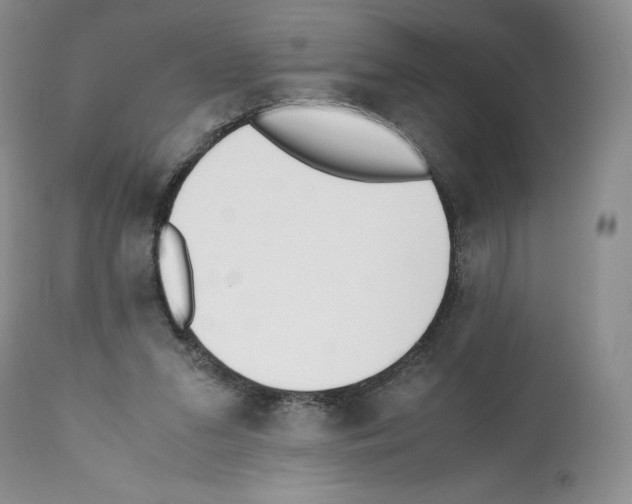 X0000112050207200909151011
