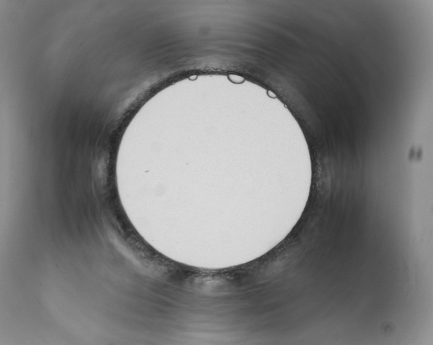 X0000112050208200909151011