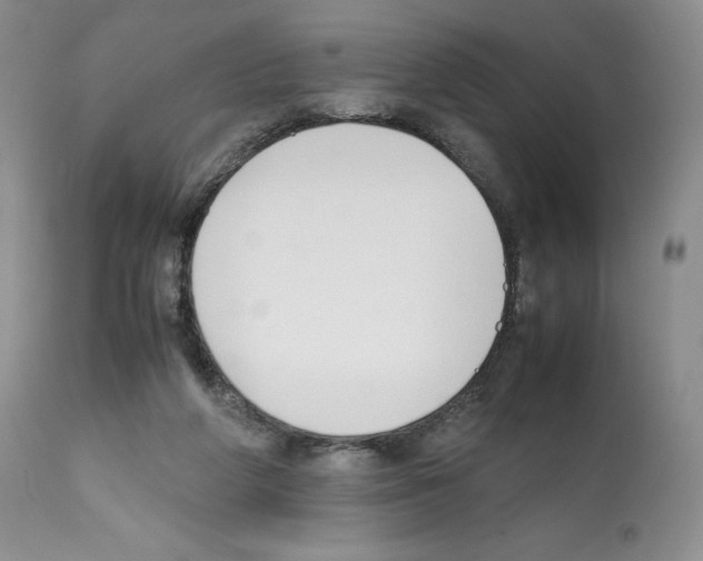 X0000112050210200909151011