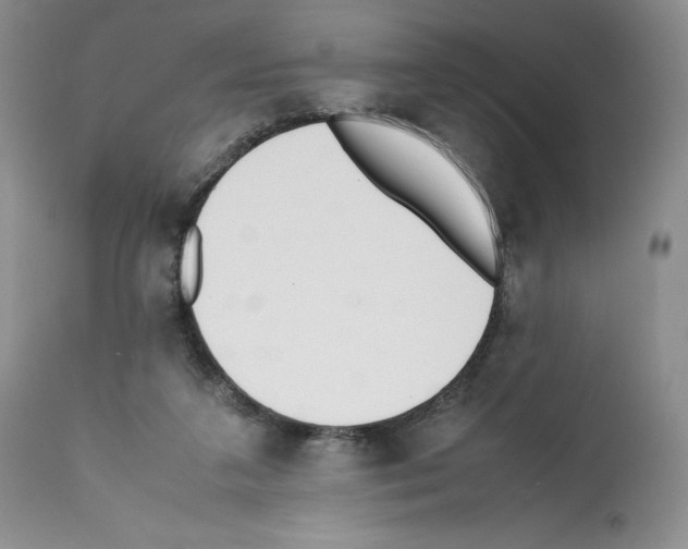X0000112050211200909151011