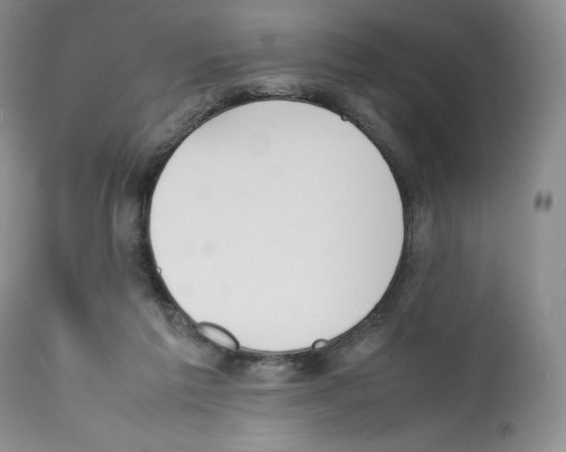 X0000112050213200909151011
