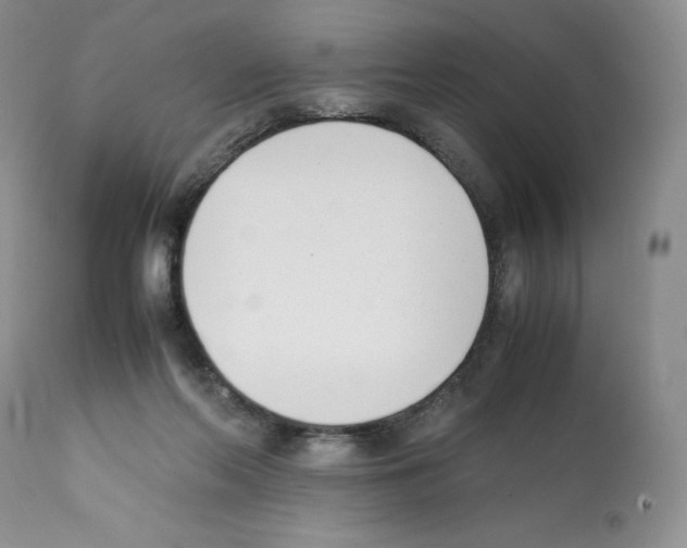 X0000112050214200909151011