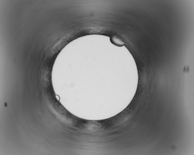 X0000112050215200909151010