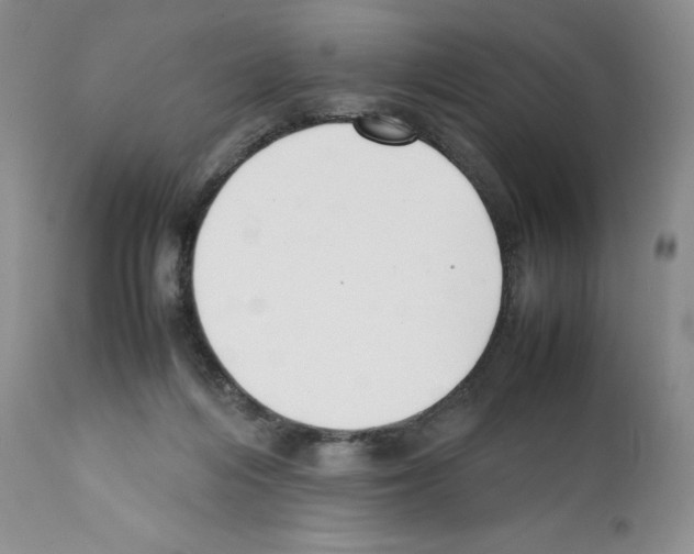 X0000112050216200909151010