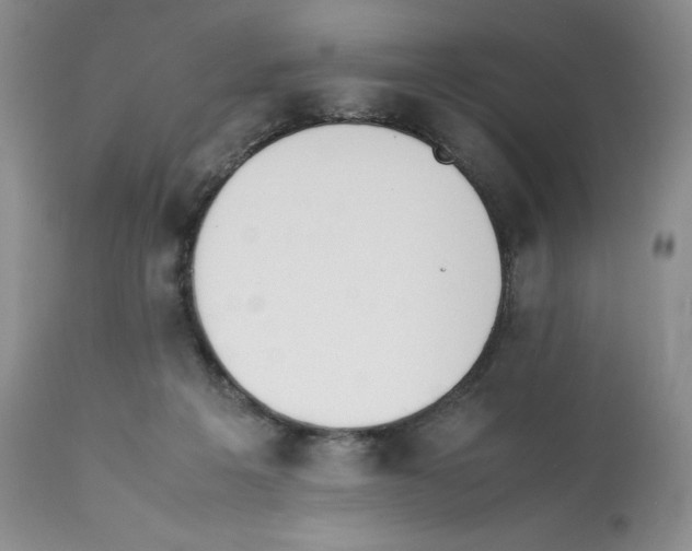 X0000112050217200909151010
