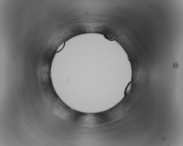 X0000112050219200909151010