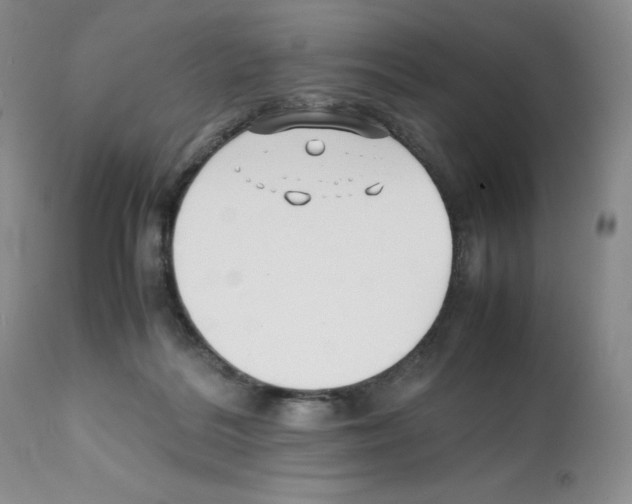 X0000112050220200909151010