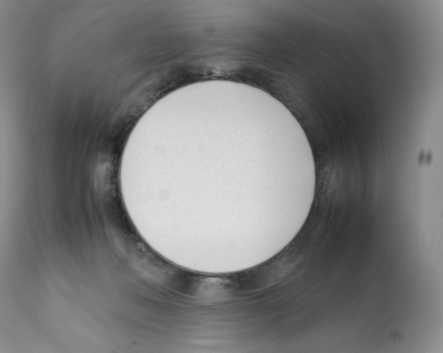 X0000112050222200909151010