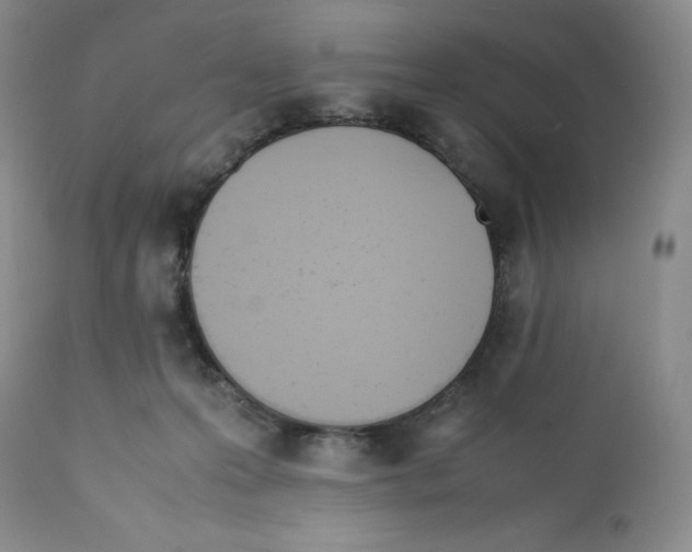 X0000112050223200909151010