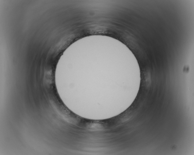 X0000112050224200909151010