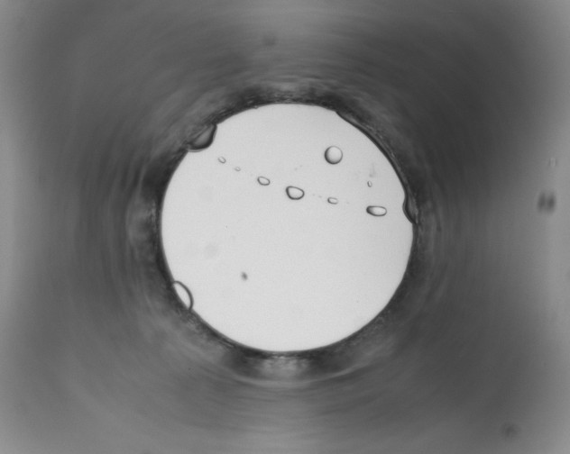X0000112050225200909151010