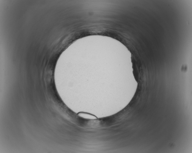 X0000112050227200909151010