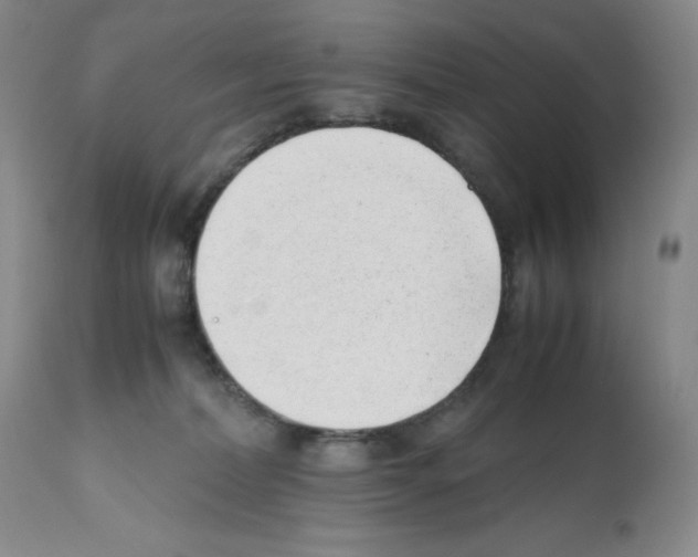 X0000112050228200909151010