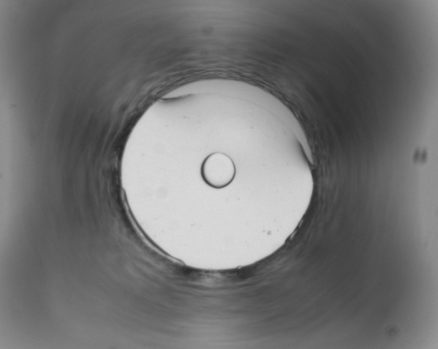 X0000112050229200909151010
