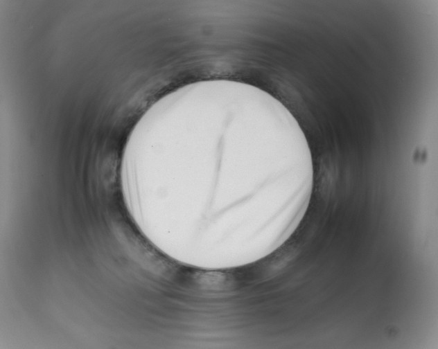X0000112050230200909151010