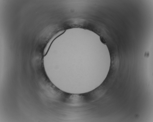 X0000112050231200909151010