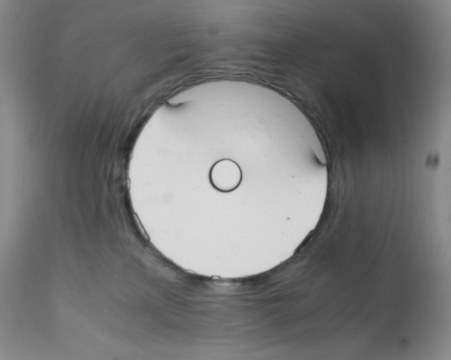 X0000112050233200909151010